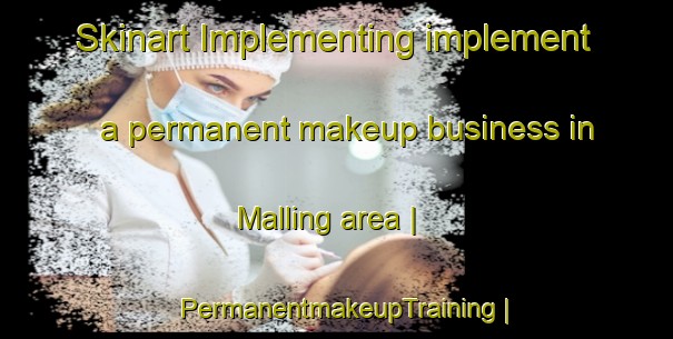 Skinart Implementing implement a permanent makeup business in Malling area | PermanentmakeupTraining | PermanentmakeupClasses | SkinartTraining-France